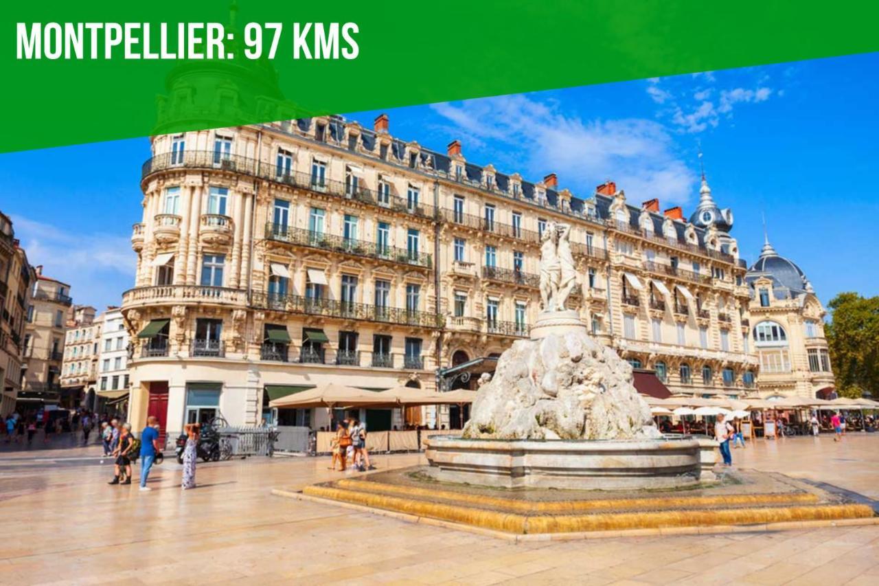 Au Roi Rene - Ac Clim - Wifi Apartment Avignon Luaran gambar